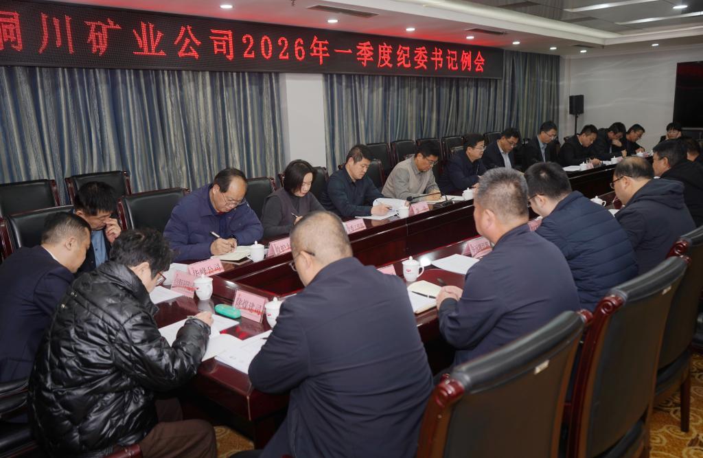 公司召開(kāi)一季度紀(jì)委書(shū)記例會(huì)